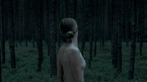 Susanne Wuest - Nude Tits Scenes in Goodnight Mommy (2014)