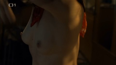 Tatiana Vilhelmova - Nude Tits Scenes in Nevinné lži s02e03 (2014)