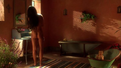 Lisa Comshaw, Jo Champa - Nude Tits Scenes in Don Juan DeMarco (1995)