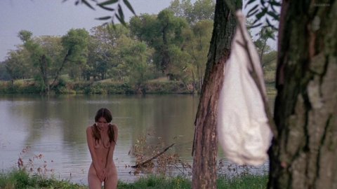 Monica Gayle - Nude Tits Scenes in Nashville Girl (1976)
